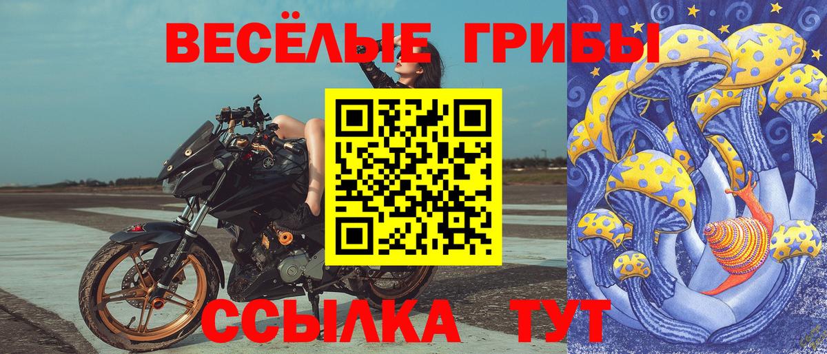 Мирный  Галлюциногенные грибы MAGIC MUSHROOMS  где купить наркотик  Вход с VPN 